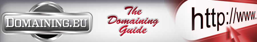 domaining.eu - domain guide